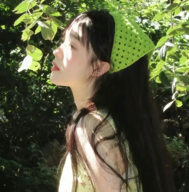 蝙蝠女侠第三季